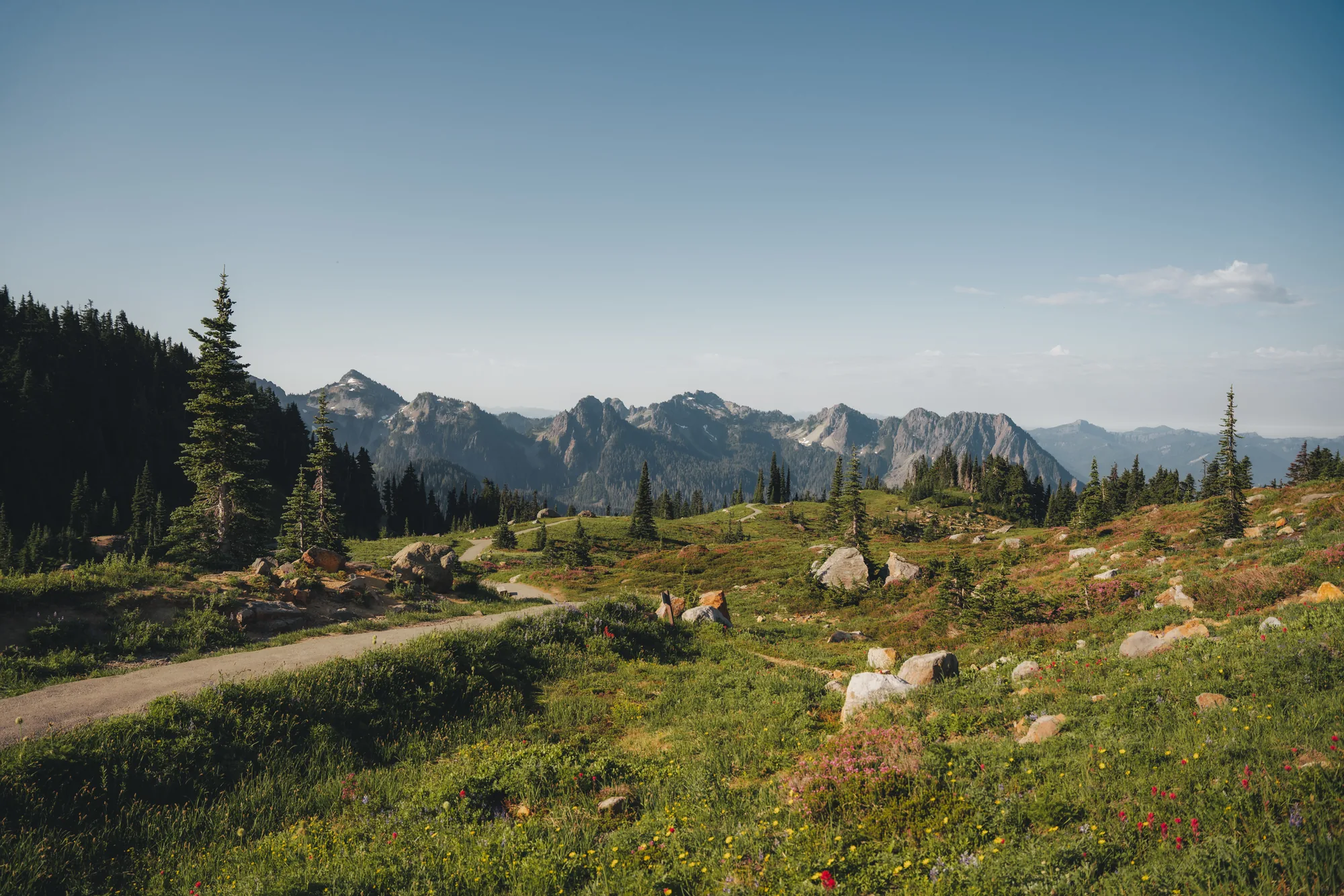 A gravel path through a wildflower meadow with jagged mountains behind